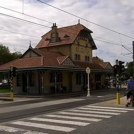 Kokodor-2